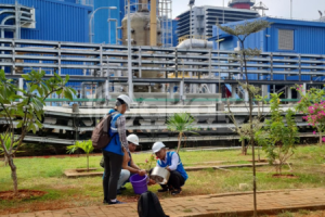 Petugas mengurus pembuatan UKL-UPL di dinas lingkungan hidup