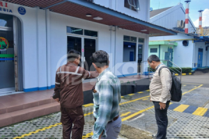 apa itu sipa